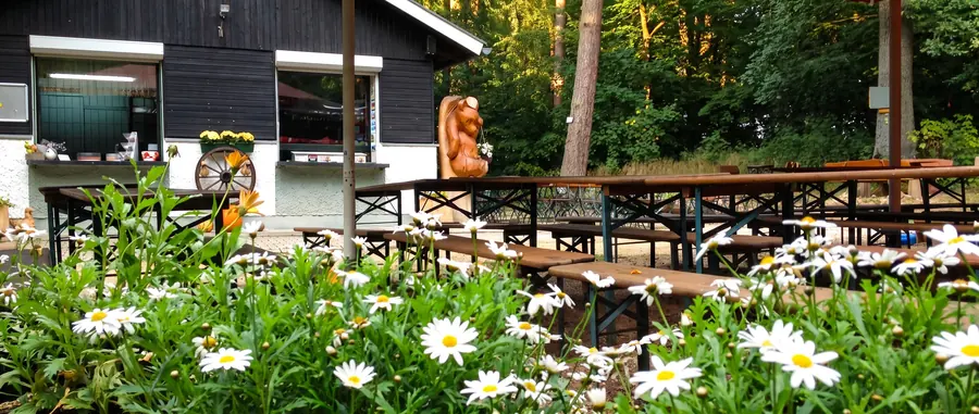 Biergarten mit Margeriten